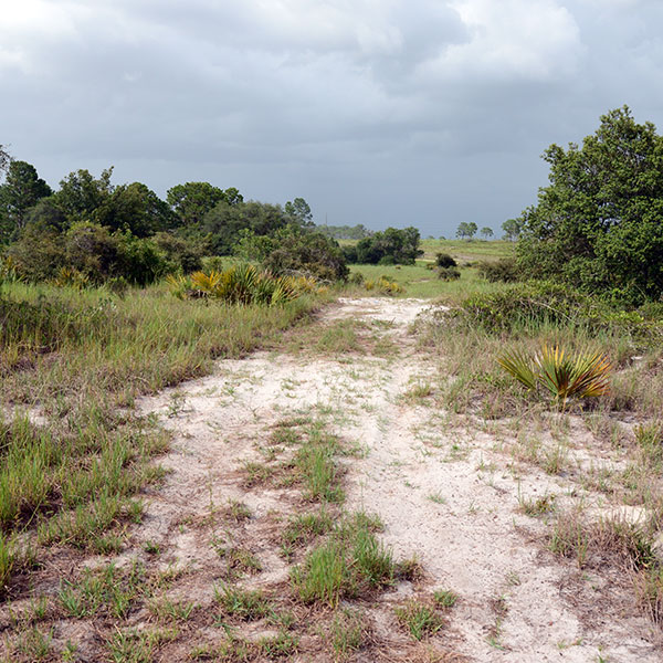 Sebring Scrub Conservation Bank Exum Associates, Inc.