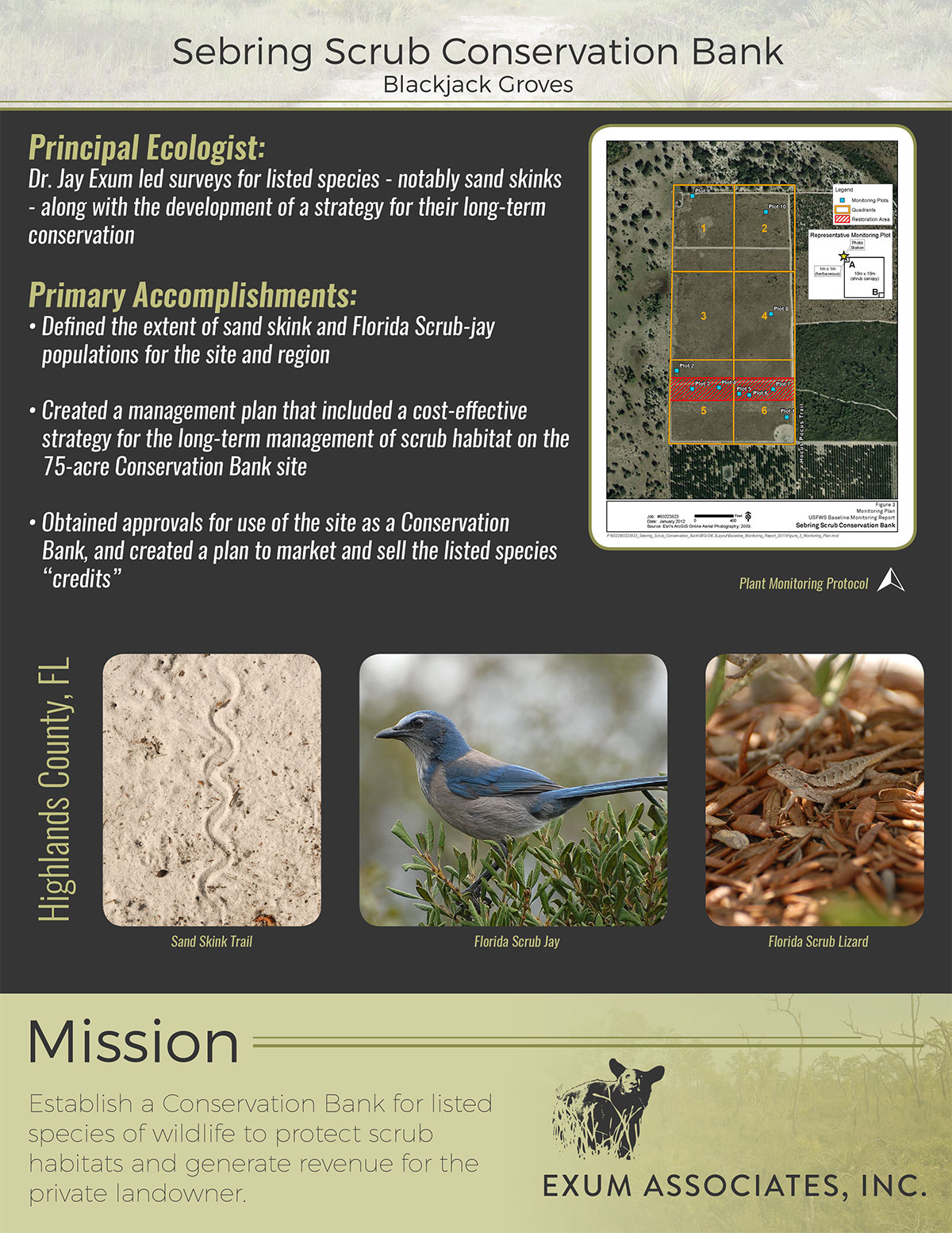 Sebring Scrub Case Study Poster