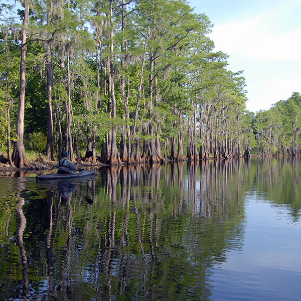 paddling Shingle Creek in Osceola County